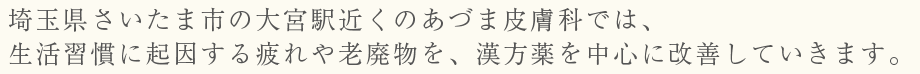 埼玉県さいたま市の大宮駅近くのあづま皮膚科では、生活習慣に起因する疲れや老廃物を、漢方薬を中心に改善していきます。